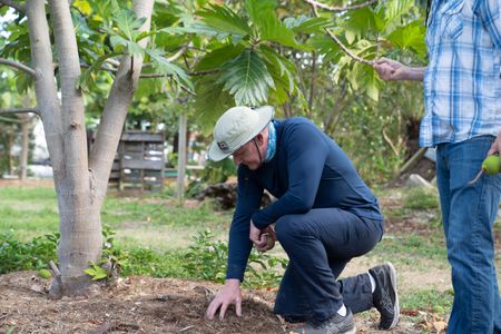 Gordon Ramsay looks at the mulch at the fruit farm. (National Geographic/Justin Mandel)
