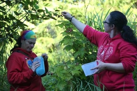 Veronica Arrants and Breanna Miethe pick berries. (National Geographic/Wayne Moss)