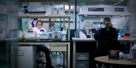 Scientists at Astrea Forensics attempt to extract DNA from a sample of Tyler Jane Doe’s hair.   (National Geographic)