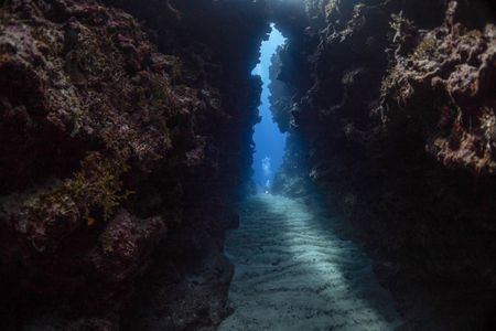 A National Geographic Pristine Seas scuba diver conducting surveys in Niues waters can be seen peaking up from across coral passageway in a Niue coral reef cave.  National Geographic Pristine Seas, in collaboration with the Governments of Niue (GON) and Tofia Niue, embarked on a scientific survey to document marine biodiversity in the small island nation known for its crystal-clear waters teeming with sea life—from humpback whales, gray reef sharks, 80-pound groupers, and other marine life. Located in the South Pacific, 1,300 miles northeast of New Zealand between Fiji, Samoa and Tonga, Niue is one of the largest elevated coral atolls in the world. The Pristine Seas Niue expedition is the third stop on The Global Expedition, an ambitious five-year collaboration with central and western Pacific Island nations. (National Geographic/Manu San Félix)