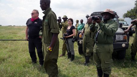 Frank Goeritz from BioRescue, Ami Vitale and Ol Pejeta keepers  waiting for the  surrogate to be darted before the procedure. (credit: National Geographic)