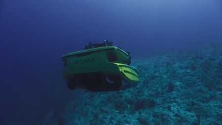 The OceanXplorers submersible approaches a geological structure that Mithriel Mackay believes serves as an acoustic enhancer for humpback whale songs. (National Geographic)