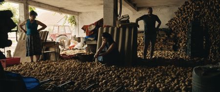 Jana, Ana, and Ana's husband standing on the hundreds of potatoes they weren't able to sell at the market. (Credit: Ciconia Film/Jean Dakar)