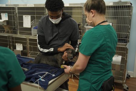 Kennel tech Noah and vet tech Jordan comfort Lenny, the dog. (National Geographic for Disney/Sean Grevencamp)