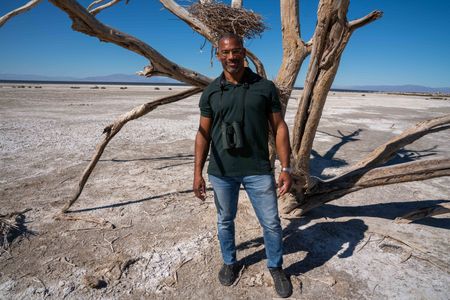 Christian Cooper stands in front of a dead tree with nests that used to be homes to Great Blue Herons. The Salton Sea has long been a vital stop for migrating birds. (National Geographic/Jon Kroll)