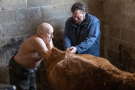 Charles Pol is right by his dad's side to help on an emergency farm call! (National Geographic/Mike Stankevich)