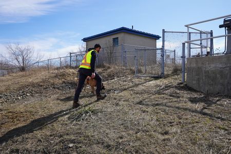 Noah Keoshkerian, Wildlife Control Officer, with Zeus the dog. (Arrow International Media Ltd & Cantina Media)