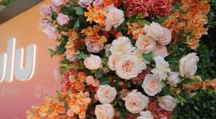 ABC Summer Soiree (B-Roll Reel)