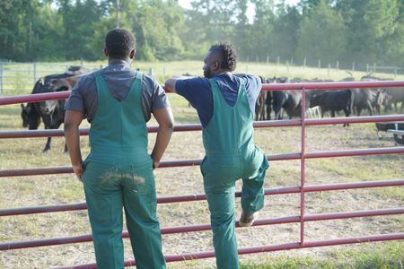 Dr. Hodges and his son, VJ, watch over the cattle at V Squared Ranch. (National Geographic for Disney/Nicholas Reaves)