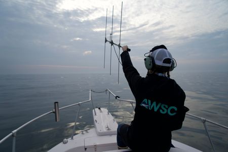 Dr. Megan Winton uses a VHF receiver on the bow of the boat. She tries to get a signal from Liberty's tag. (National Geographic/Brandon Sargeant)