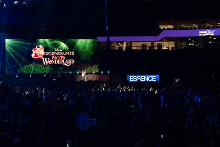 ESSENCE FESTIVAL OF CULTURE™