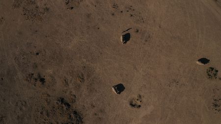 Aerial footage of the last two Northern White Rhinos and their keeper, Zacharia Mutai and a Southern White Rhino.  (credit: National Geographic)