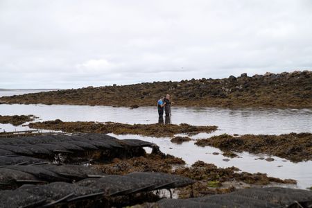 Gordon Ramsay and Oyster Farmer Diarmuid Kelly. (National Geographic/Justin Mandel)