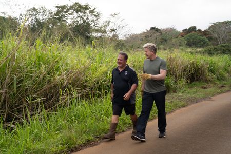 Kawika and Gordon Ramsay talk at the Taro farm. (National Geographic/Justin Mandel)