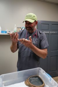 Dr. Ben Schroeder does a wellness check on Shay, a baby boa constrictor. (National Geographic)