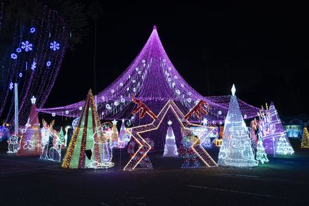 GREAT CHRISTMAS LIGHT FIGHT