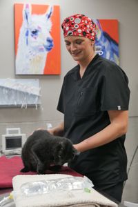 Dr. Erin Schroeder comforts Roger the cat who is enjoying the attention. (National Geographic)