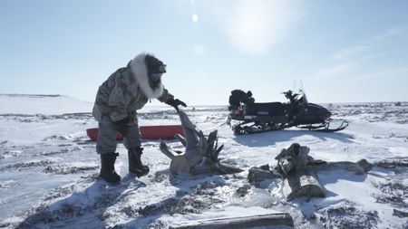 John Pingayak collects firewood on the frozen tundra. (National Geographic/Matt Kynoch)