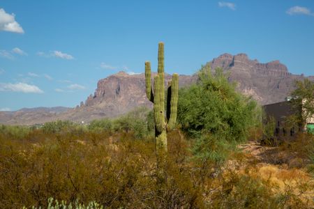 The area surrounding the Apache Junction Police station. (National Geographic/Tom Beard)