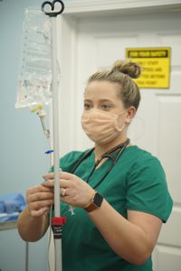 Vet tech, Jordan Howell, sets up an IV bag for surgery. (National Geographic for Disney/Sean Grevencamp)