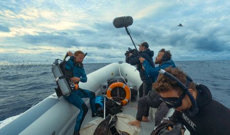Host, Bertie Gregory and crew on board the rib.  (credit: National Geographic/Adam Boyle)