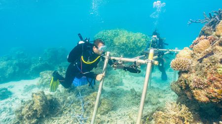 Camera Assistant, Woody Spark, and Associate Producer, Harriet Spark, set up a special remote underwater camera system to film Day octopus (Octopus cyanea) on the Great Barrier Reef.  (photo credit: National Geographic/Adam Geiger)