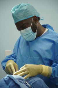 Dr. Hogdes goes to work removing Lenny the dog's eye after being hit by a car. (National Geographic for Disney/Sean Grevencamp)