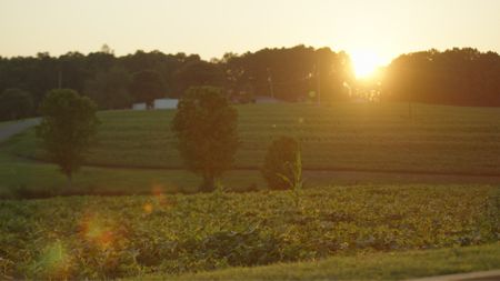 Sunset in Fort Payne, AL the evening after Detective Turner of Smith County Sheriff's Office finally met with Jane Doe's daughter. (National Geographic/Will Francome)