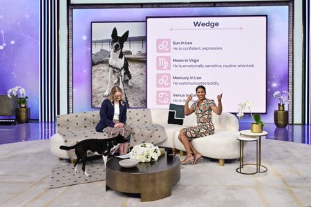 WEDGE, MOLLY VASICEK, TAMRON HALL