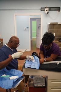 Vet tech Arianna monitors Rae, the cockatiel, while Dr. Ferguson performs surgery. (National Geographic for Disney/Sean Grevencamp)