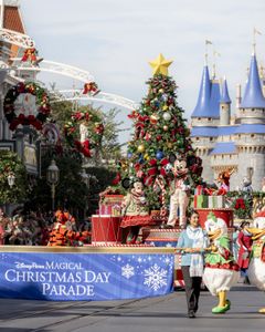 TIGGER, MINNIE MOUSE, MICKEY MOUSE, DAISY DUCK, DONALD DUCK