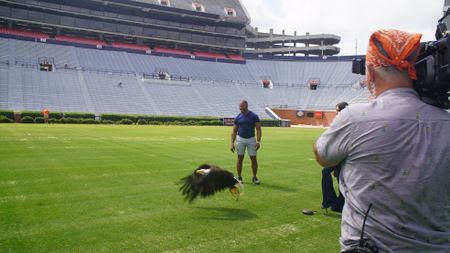 Christian Cooper assists rator trainer, Amanda Sweeney, with Independence's pre-gameday flight practice. (National Geographic for Disney)