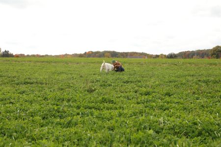 Beth Pol trains the family's new dog, Clovis, to learn the property's limits and protect the livestock. (National Geographic)
