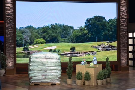 CLEAN GREEN GOLF BALLS 