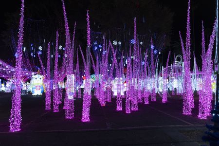 GREAT CHRISTMAS LIGHT FIGHT