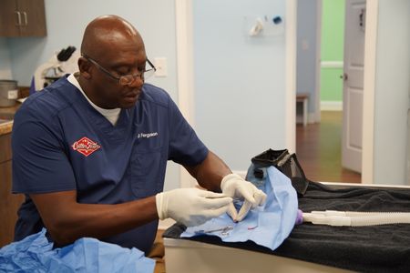 Dr. Ferguson performs a tricky surgery on a very small patient. (National Geographic for Disney/Sean Grevencamp)
