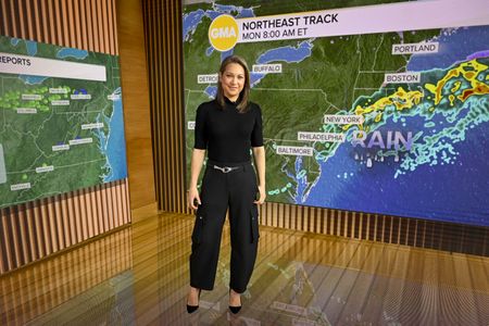 GINGER ZEE