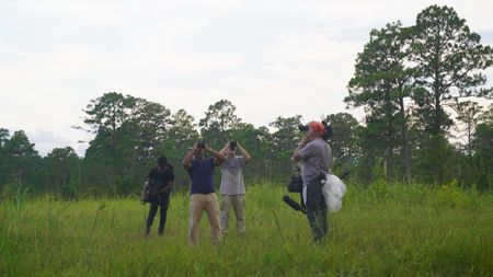 Christian Cooper and Mark Bailey observe the endangered red-cockaded woodpeckers coming back to their pine tree cavities at dusk. (National Geographic for Disney)