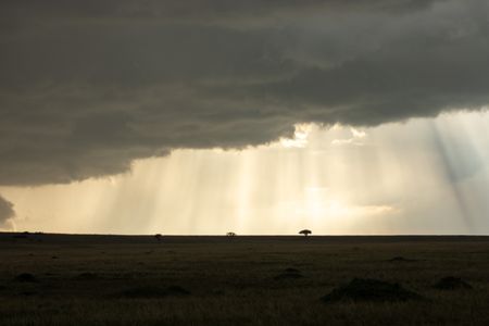 A massive storm cloud covers half the sky over the grasslands of Maasai Mara, Kenya. (National Geographic/Joe Treddenick)