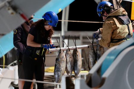 Melissa Marquez and Eric Stackpole attach dead fish to the bait pole on the submarine at night.  (National Geographic/Mario Tadinac)