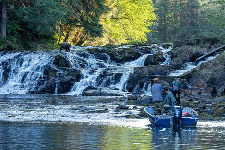 The film crew approaches the falls via boat.  A bear stands on the waterfall to watch. (National Geographic for Disney/Rory Dormer)