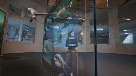 Dr. Diva Amon in the shark studio lab with a GFX Great White shark and information display board in shot. (National Geographic)