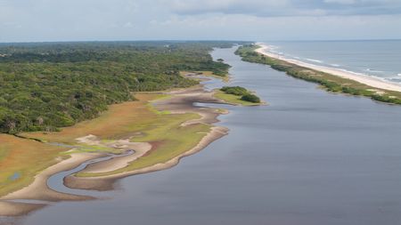 An aerial view of Gabon's coastal forest. (National Geographic/Sean Bellon)