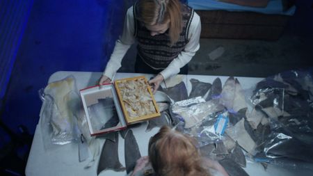 Mariana van Zeller interviews Denise at the Los Angeles Port. (National Geographic)