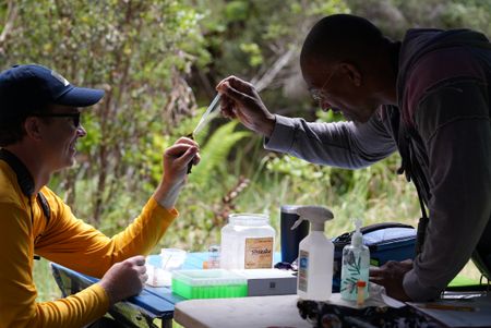 Christian Cooper feeds a Hawaiʻi ʻamakihi held by avian technician Bret Nainoa Mossman at the Pu'u Maka'ala Natural Area Reserve. (National Geographic for Disney/Troy Christopher)