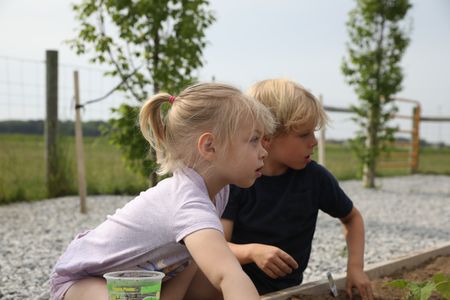 Abigail Pol and Levi Reinhold dig in the dirt with their hands at the Pol family farm's garden. (National Geographic)