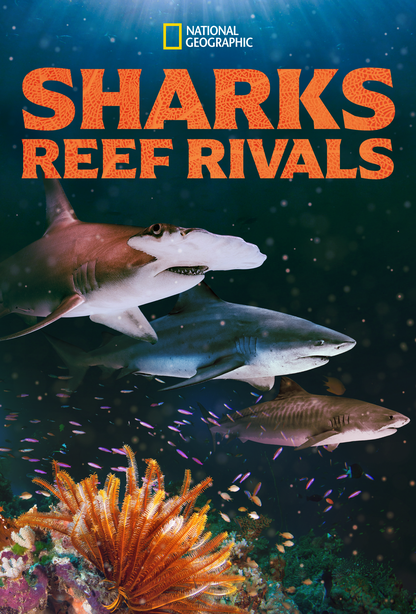 show logo