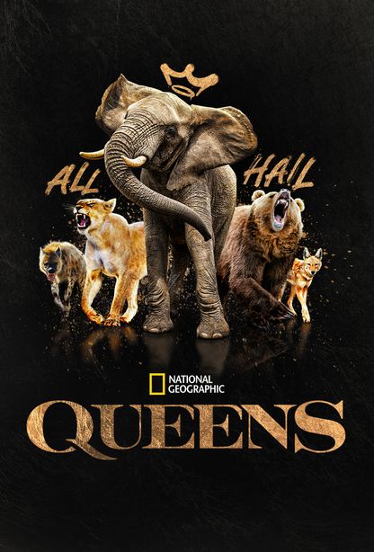 show logo
