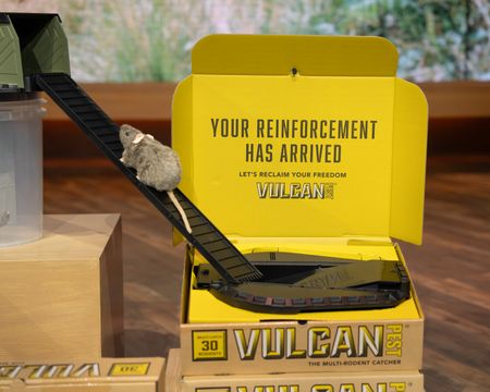 VULCAN PEST