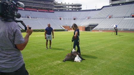 Christian Cooper assists rator trainer, Amanda Sweeney, with Independence's pre-gameday flight practice. (National Geographic for Disney)